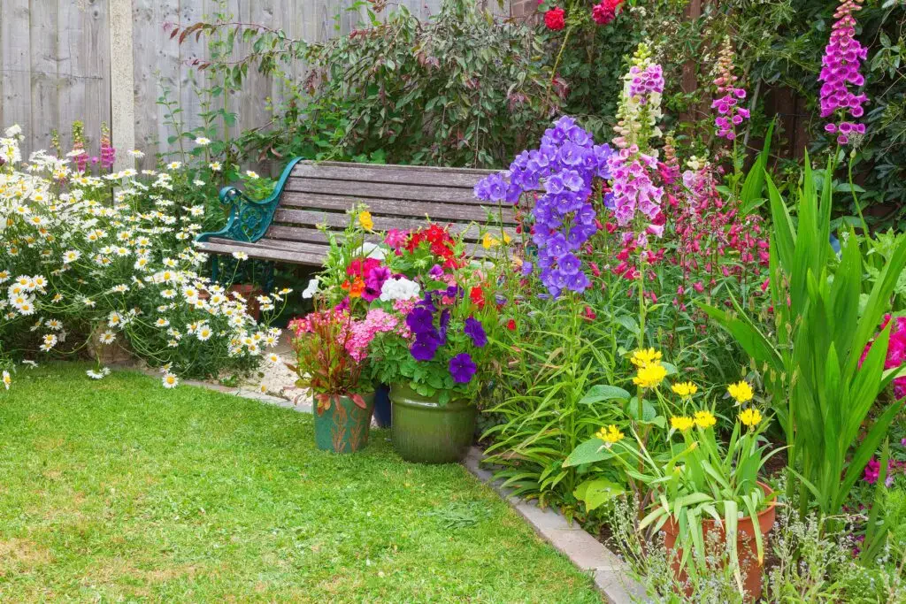 Colorful Flower Garden Wall: Design, Creation, and Maintenance Guide
