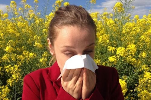 Climate Change Linked to Rising Allergies: How a Warming World is Making Us Sneeze