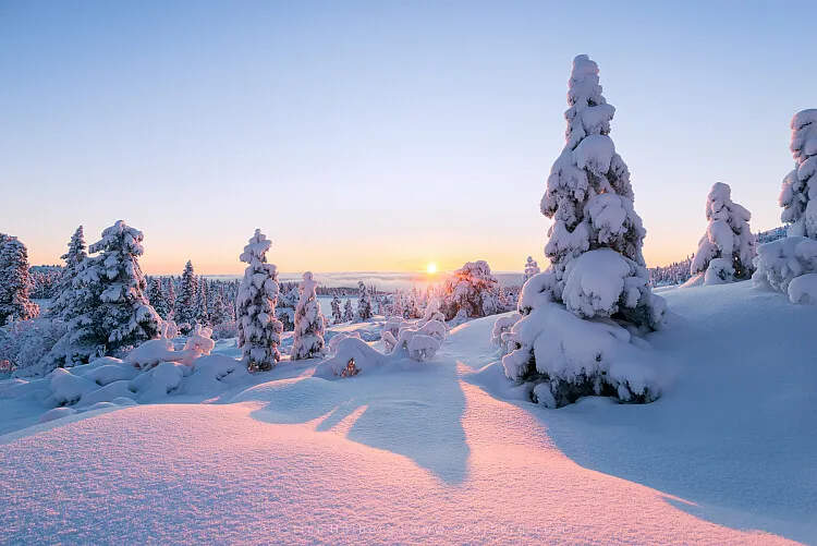 3 Simple Landscape Photography Tips for Shooting in Gray and Boring Winter Weather