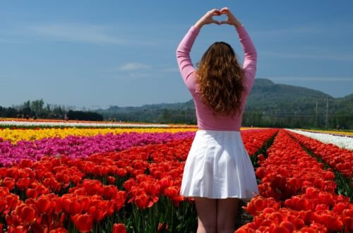 The Most Beautiful Flowers in the World