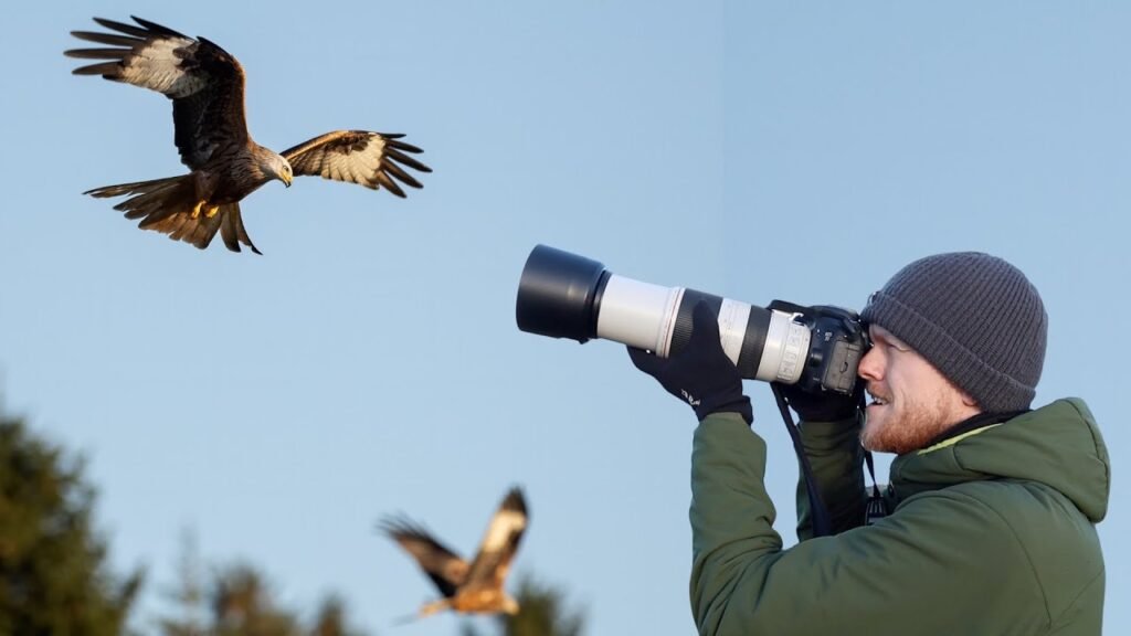 The Best Photography Tips for Bird-Watchers