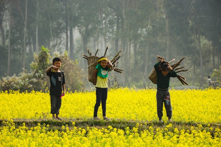 10 Rewarding Ecotourism Activities To Do Around The World