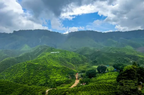 Eco-Tourism and Its Significance in Minimizing Environmental Impact: A Path to Sustainable Travel