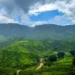 Eco-Tourism and Its Significance in Minimizing Environmental Impact: A Path to Sustainable Travel