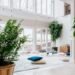 5 Amazing Yoga Room Decor Ideas for You to Try